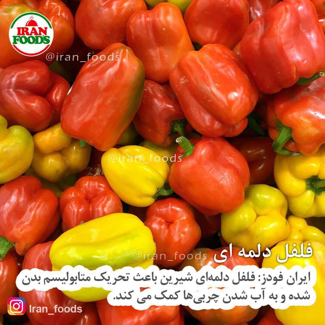 فلفل دلمه ای